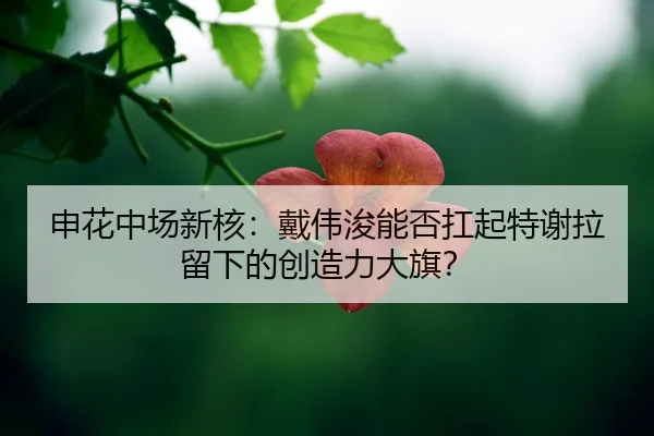 shen-hua-zhong-chang-xin-he-dai-wei-jun-neng-fou-kang-qi-te-xie-la-liu-xia-de-chuang-zao-li-da-qi-2-436.jpg