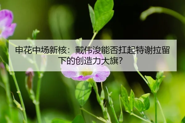 shen-hua-zhong-chang-xin-he-dai-wei-jun-neng-fou-kang-qi-te-xie-la-liu-xia-de-chuang-zao-li-da-qi-3-594.jpg