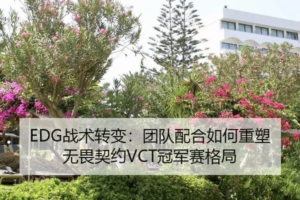 EDG战术转变：团队配合如何重塑无畏契约VCT冠军赛格局