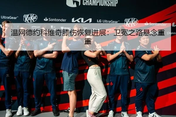 温网德约科维奇膝伤恢复进展：卫冕之路悬念重重