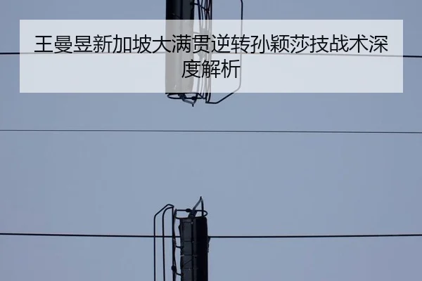 王曼昱新加坡大满贯逆转孙颖莎技战术深度解析