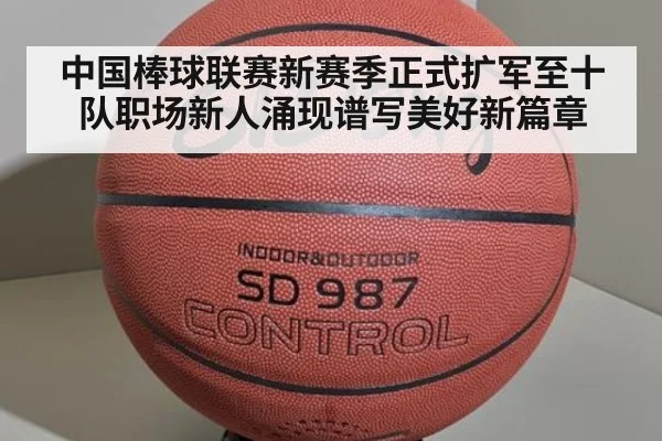 中国棒球联赛新赛季正式扩军至十队职场新人涌现谱写美好新篇章