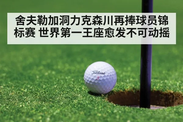 舍夫勒加洞力克森川再捧球员锦标赛 世界第一王座愈发不可动摇