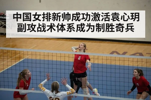 volleyball match point