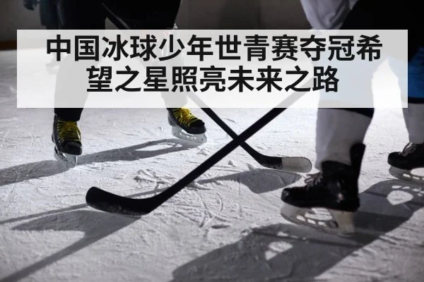 中国冰球少年世青赛夺冠希望之星照亮未来之路