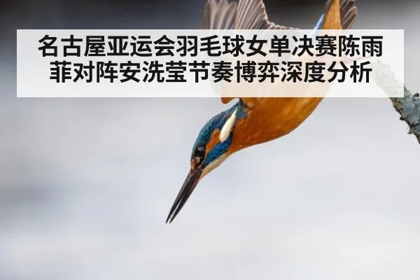 名古屋亚运会羽毛球女单决赛陈雨菲对阵安洗莹节奏博弈深度分析